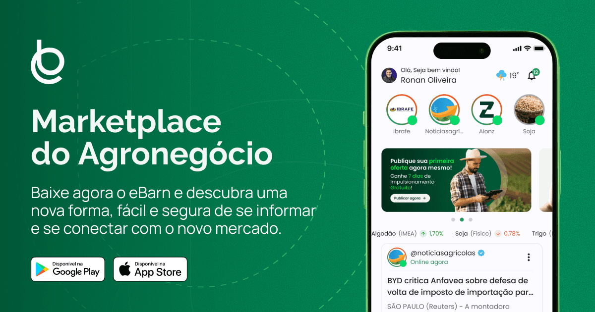 Cotação do Arroz Hoje — Preços por Tipo e Região