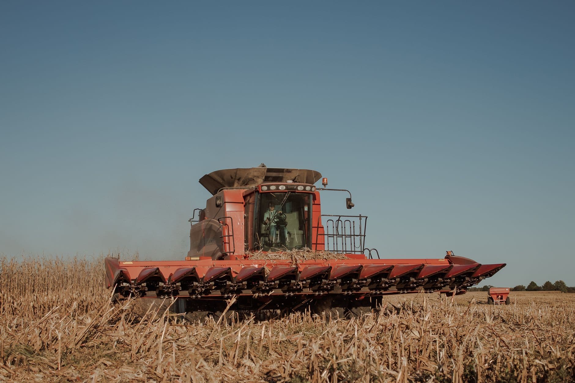 Weathered red combine harvester working in a golden cornfield on a clear day.