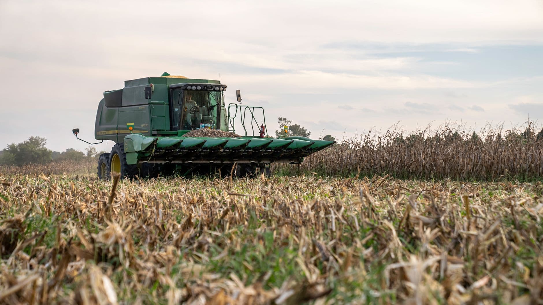 Tractor harvesting corn in North Carolina. Captured during fall, showcasing modern farming techniques and machinery.