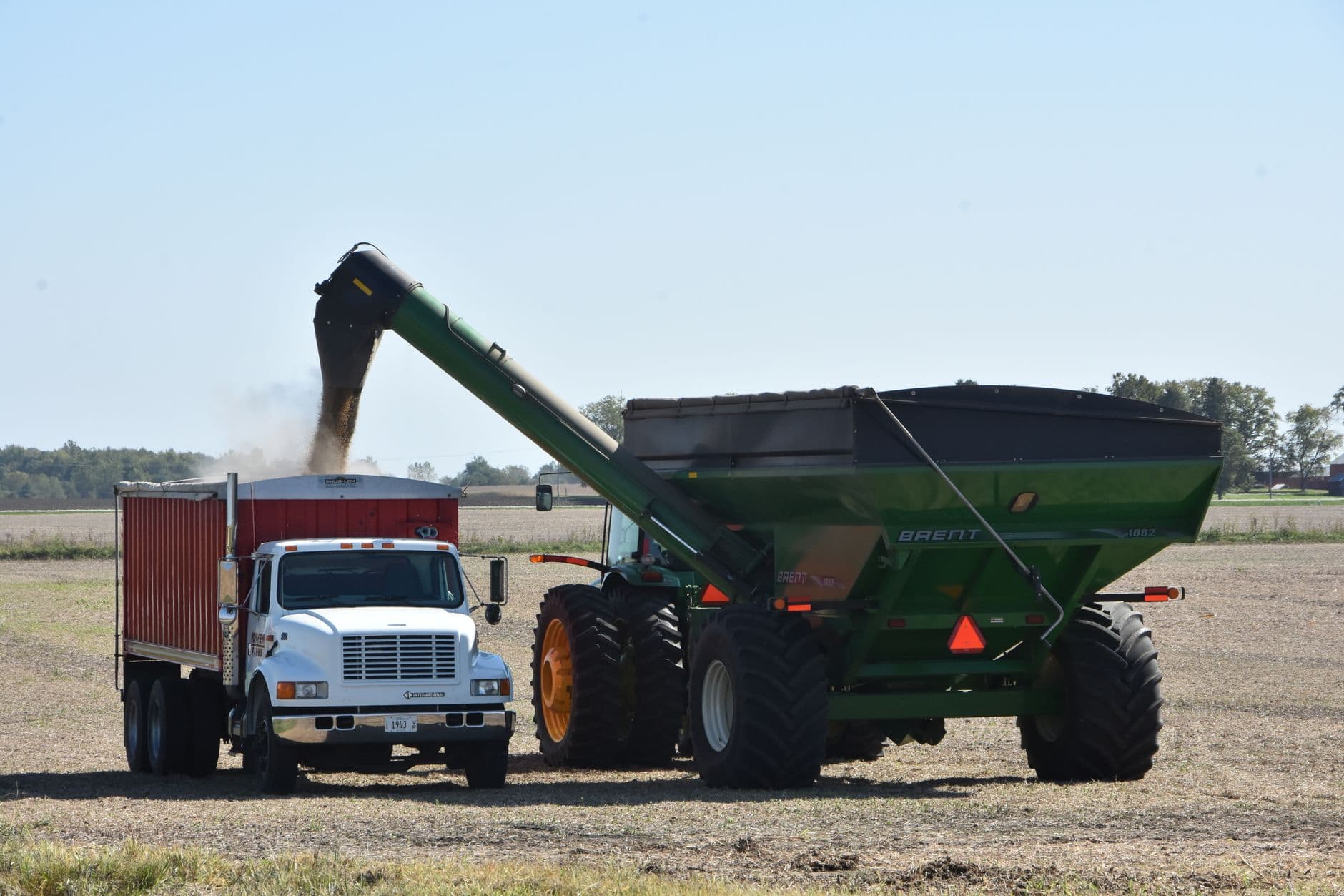 Grain being transferred from a cart to a truck during harvest in an open field on a sunny day.