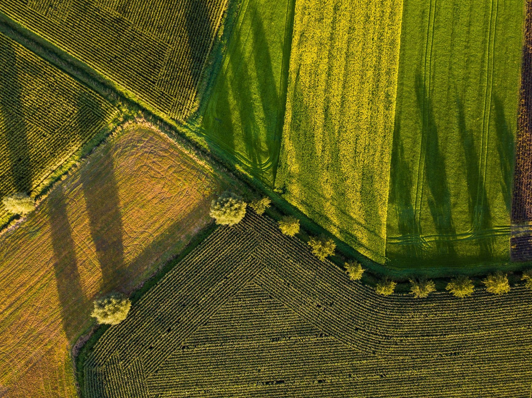 Aerial view showcasing vibrant green farmland with distinct geometric patterns.