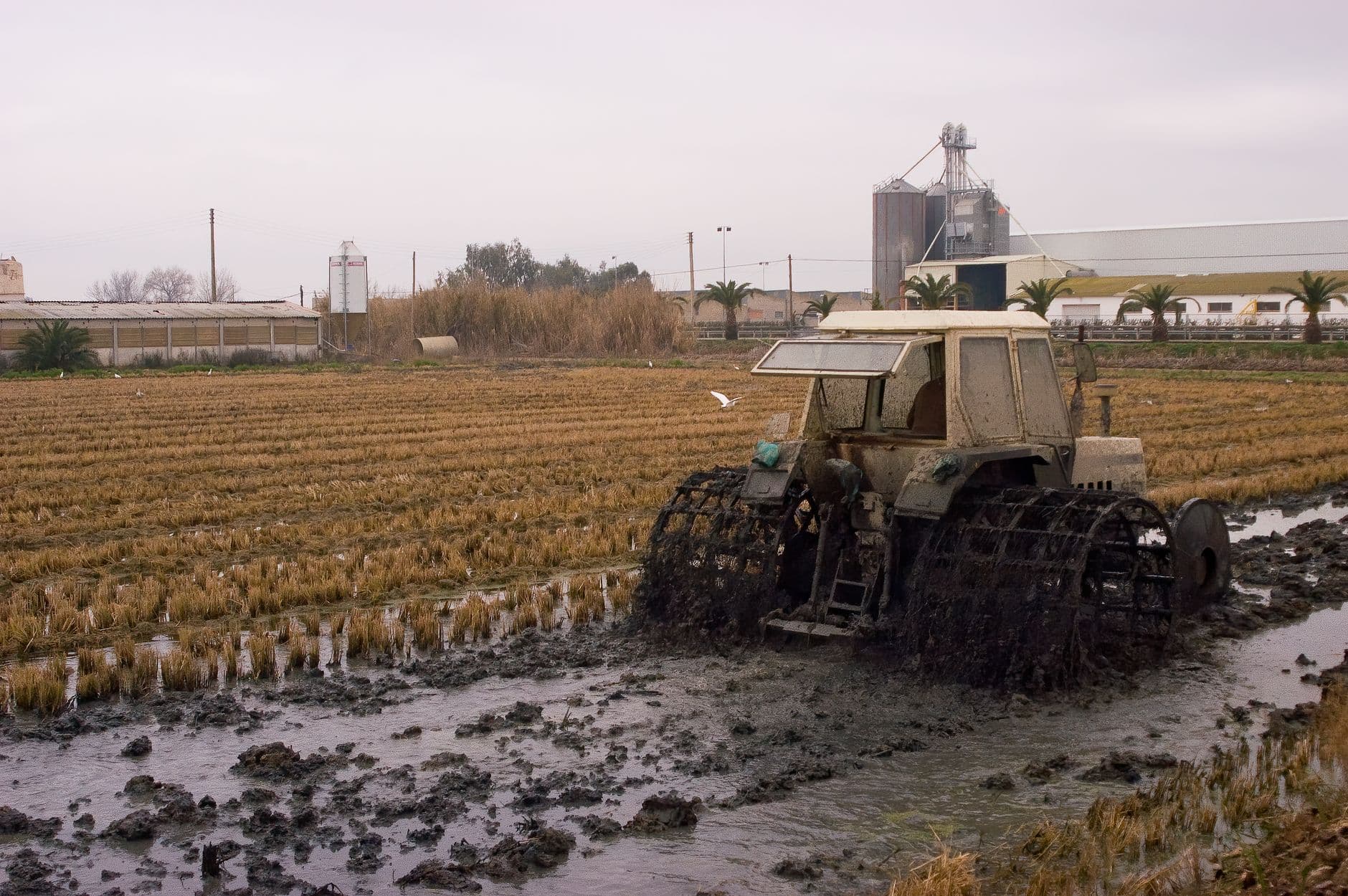 A tractor moves through a muddy, flooded farm field, showcasing agricultural challenges.